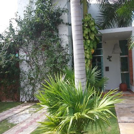Casa Rioja Playacar Bed & Breakfast Playa del Carmen Eksteriør bilde