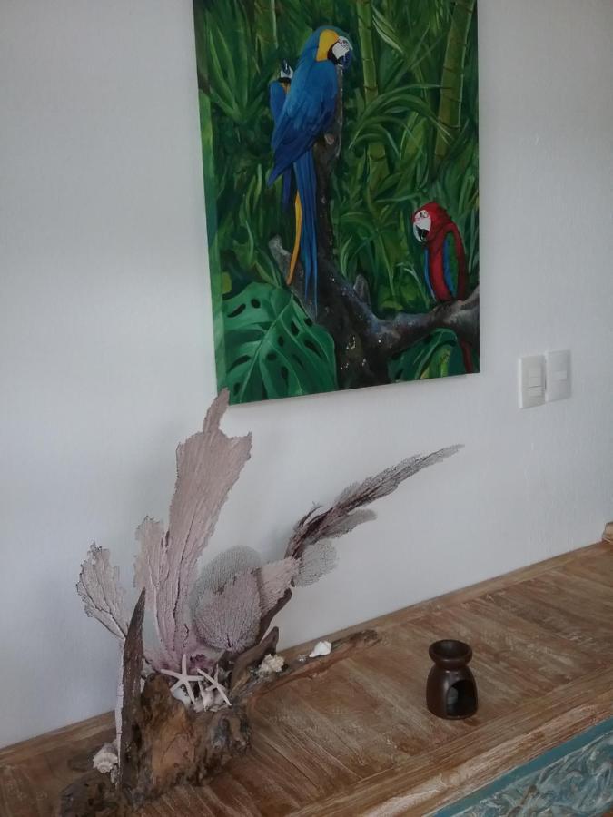 Casa Rioja Playacar Bed & Breakfast Playa del Carmen Eksteriør bilde